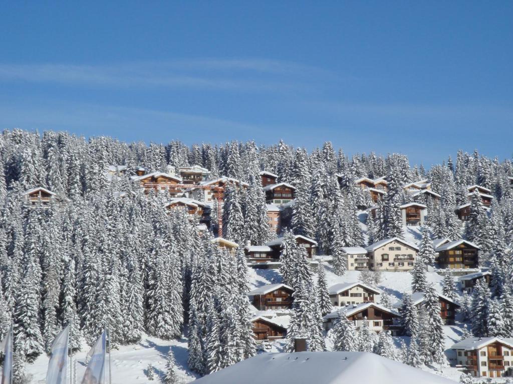 Arosa Vetter Hotel Εξωτερικό φωτογραφία